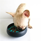 Dog Interactive Slow-Feeding Bowl