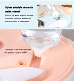 Dog Food and Water Feeder