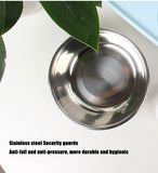 Dog Food and Water Feeder