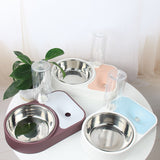 Dog Food and Water Feeder