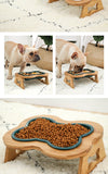 Dog Food and Water Bowl