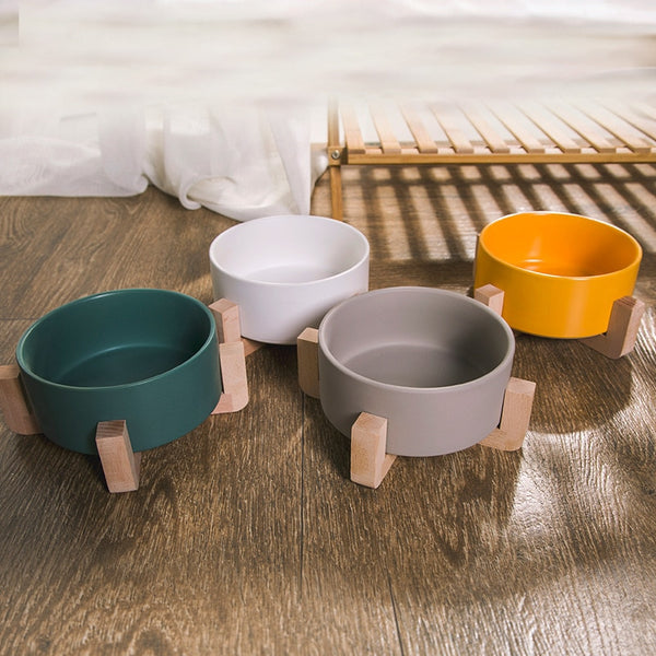 Dog Food and Water Bowl