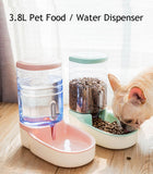 Dog Food and Water Dispenser