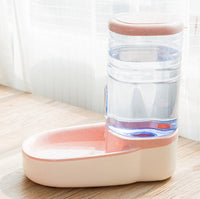 Dog Food and Water Dispenser