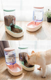 Dog Food and Water Dispenser