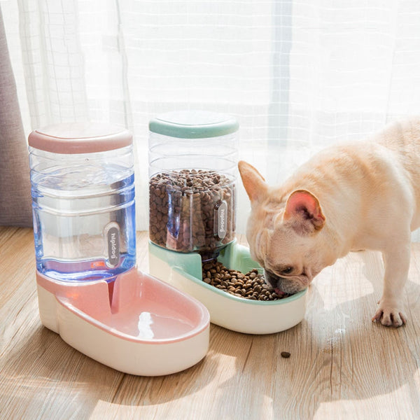Dog Food and Water Dispenser