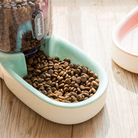 Dog Food and Water Dispenser