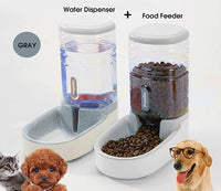 Dog Food and Water Dispenser