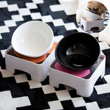 Dog Food and Water Bowl