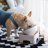 Dog Food and Water Bowl