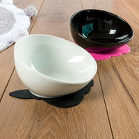Dog Food and Water Bowl