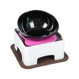 Dog Food and Water Bowl