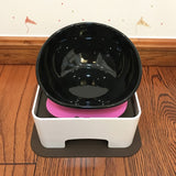 Dog Food and Water Bowl