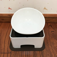 Dog Food and Water Bowl