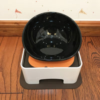 Dog Food and Water Bowl