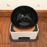 Dog Food and Water Bowl