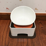 Dog Food and Water Bowl