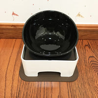 Dog Food and Water Bowl