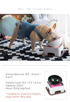 Dog Food and Water Bowl