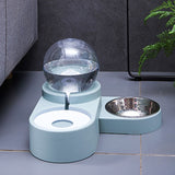 Dog Food and Water Dispenser