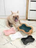 Dog Food and Water Bowl