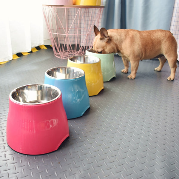 Dog Food and Water Bowl