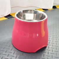 Dog Food and Water Bowl