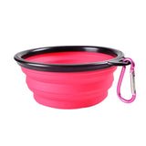 Portable Outdoor Dog Food and Water Bowl