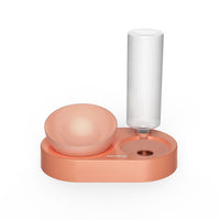 Dog Food and Water Feeder