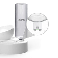 Dog Food and Water Feeder