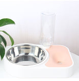 Dog Food and Water Feeder