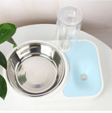 Dog Food and Water Feeder