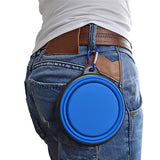 Portable Outdoor Dog Food and Water Bowl