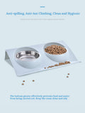 Dog Food and Water Bowl