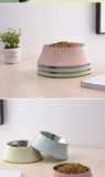 Dog Food and Water Bowl