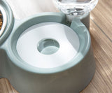 Dog Food and Water Feeder