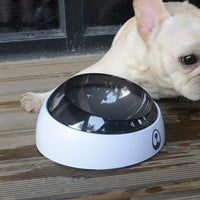Dog Food and Water Dispenser