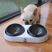 Dog Food and Water Dispenser