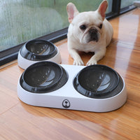 Dog Food and Water Dispenser