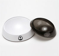 Dog Food and Water Dispenser