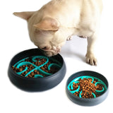Dog Interactive Slow-Feeding Bowl